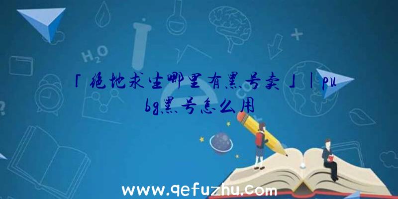 「绝地求生哪里有黑号卖」|pubg黑号怎么用
